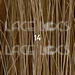 Lace Wig Hair Color Chart